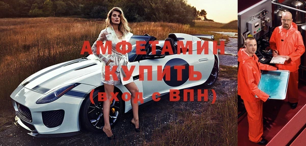 сатива Абаза