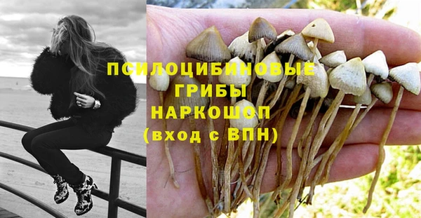 ALPHA PVP Алексеевка