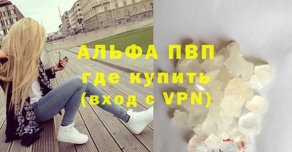 сатива Абаза