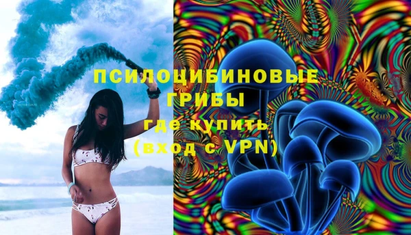 сатива Абаза
