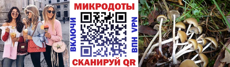 Псилоцибиновые грибы MAGIC MUSHROOMS  где продают   Ахтырский 